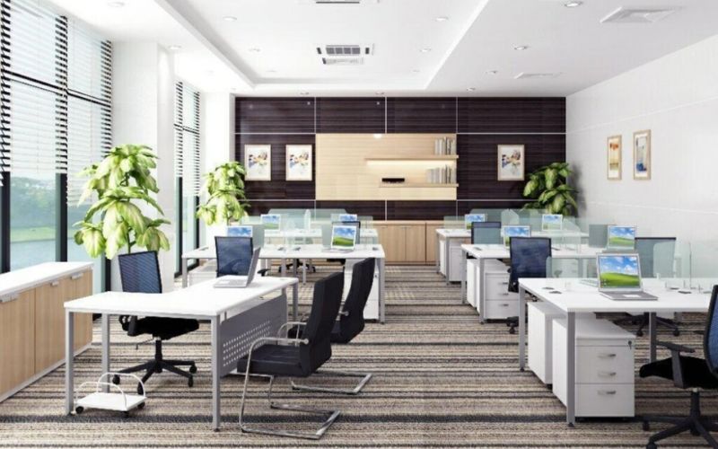 Trang trí các châu cây xanh trong văn phòng giúp giảm stress cho nhân viên