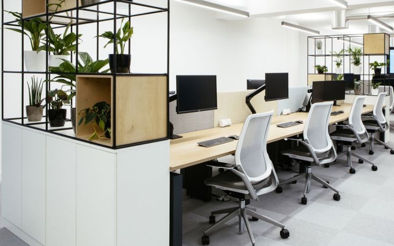 Thiết kế văn phòng 15m2 tận dụng chiếc kệ để trang trí cây xanh