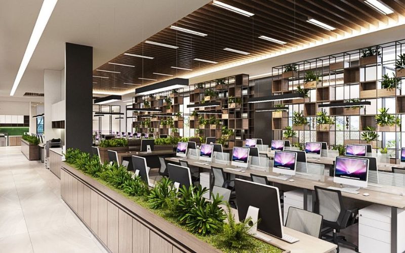 Thiết kế văn phòng mở thoáng đãng