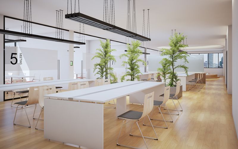 Cửa sổ lớn hoặc cửa kính được sử dụng để tối đa hóa ánh sáng