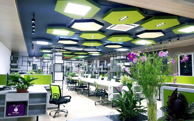 Màu xanh của nội thất và các loại cây kiểng mang đến sự thoải mái khi làm việc
