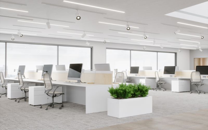 Ánh sáng tự nhiên tạo tinh thần làm việc thoải mái cho nhân viên