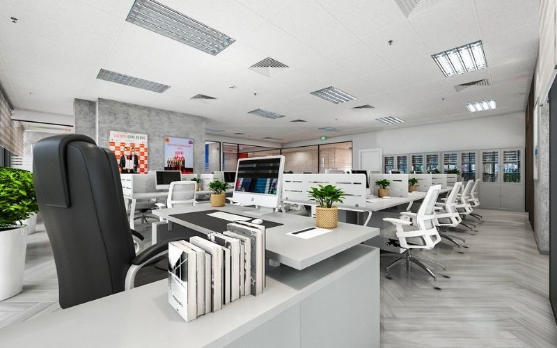 Trang trí các chậu cây xanh tô điểm cho khu vực làm việc của nhân viên