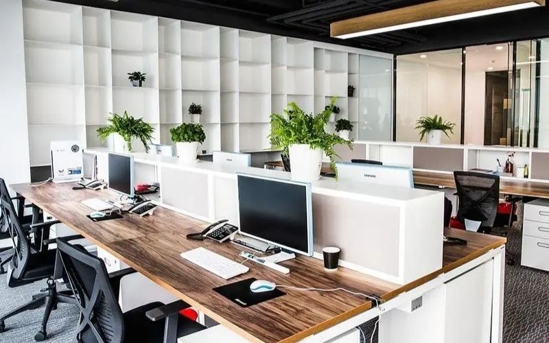 Mẫu thiết kế phong cách tối giản với trang trí cây xanh tạo điểm nhấn