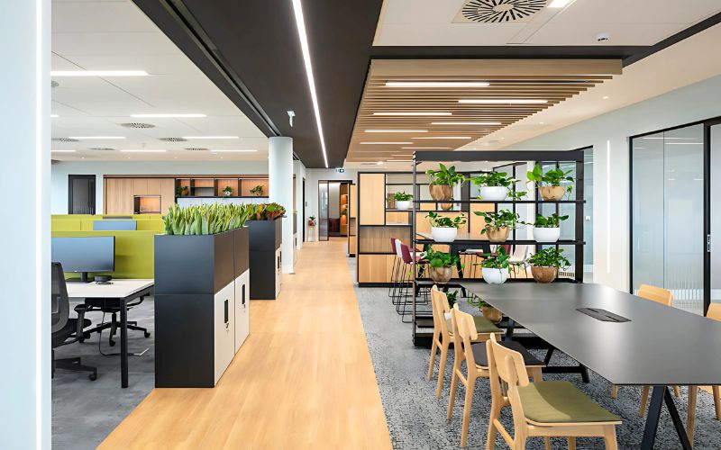 Thiết kế văn phòng 80m2 phân chia các khu vực một cách tối ưu