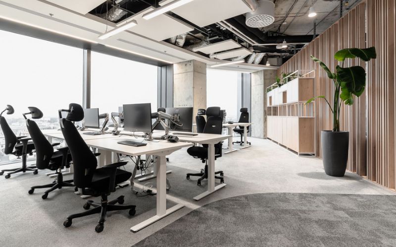 Mẫu thiết kế khu làm việc chung hiện đại với bàn bench và ghế ergonomics