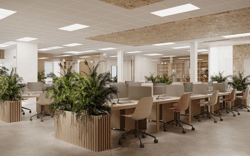 Không gian làm việc chung phong cách Minimalist với nội thất gỗ công nghiệp