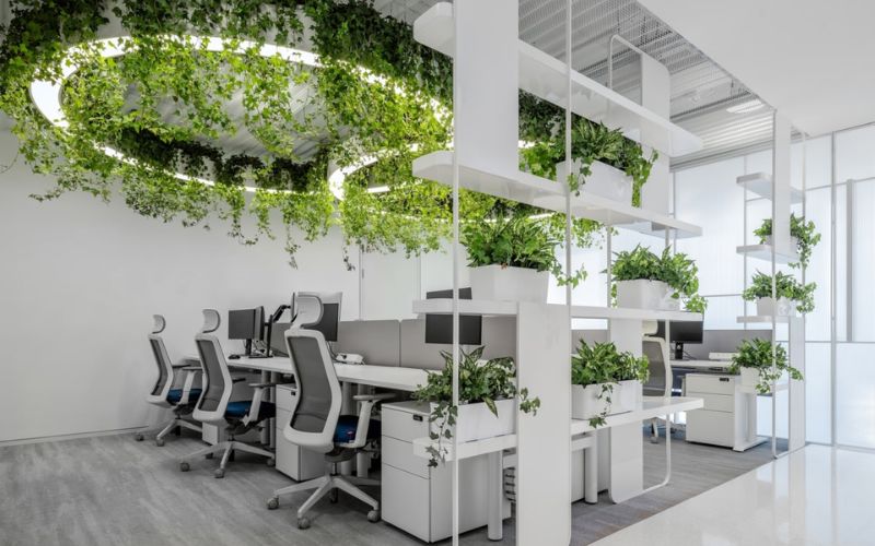 Không gian làm việc trong văn phòng Biophilic tạo cảm giác gần gũi với thiên nhiên