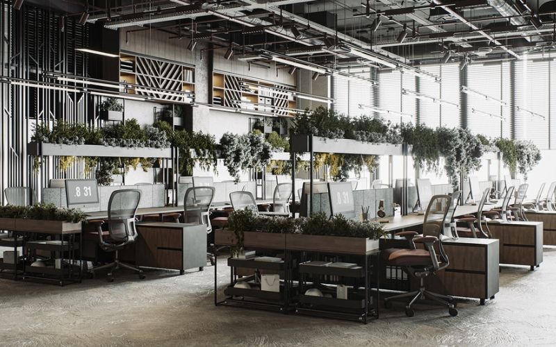 Thiết kế văn phòng Biophilic giúp giảm căng thẳng và nâng cao hiệu suất làm việc