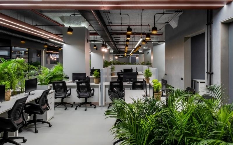 Không gian cây xanh giúp văn phòng trở nên mát mẻ