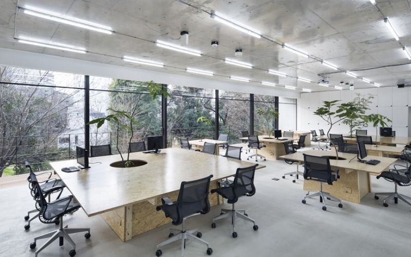 Quy trình decor văn phòng chuyên nghiệp tại New Office 24H