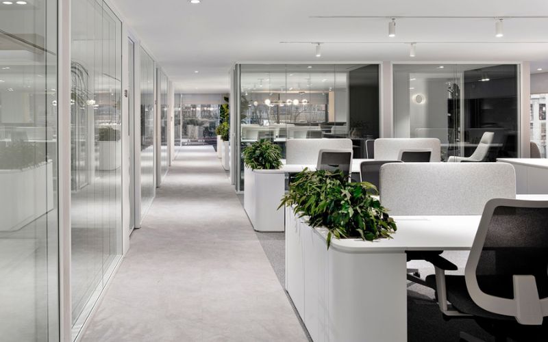 Mẫu decor văn phòng phong cách tối giản với tông màu trắng - xám, tạo không gian làm việc hiện đại, rộng rãi