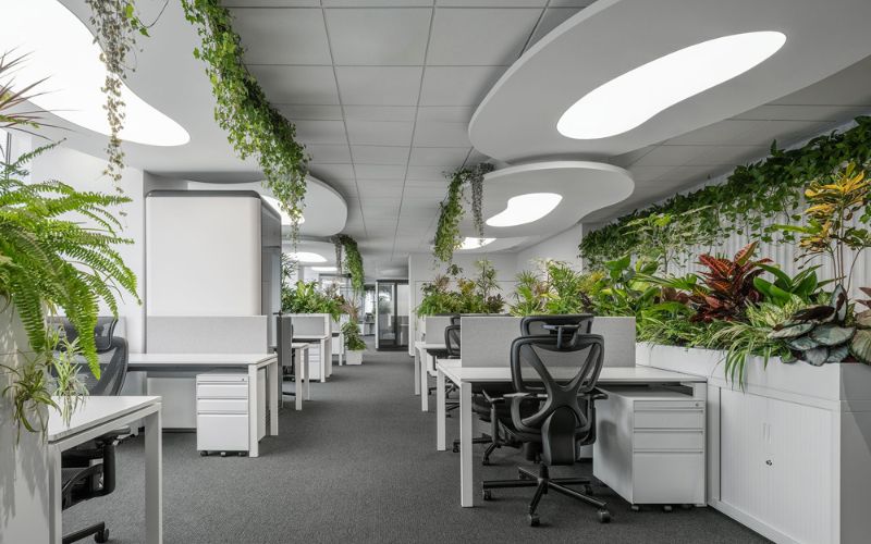 Decor văn phòng đẹp theo phong cách thiên nhiên giúp tăng tính thẩm mỹ và cải thiện chất lượng không khí