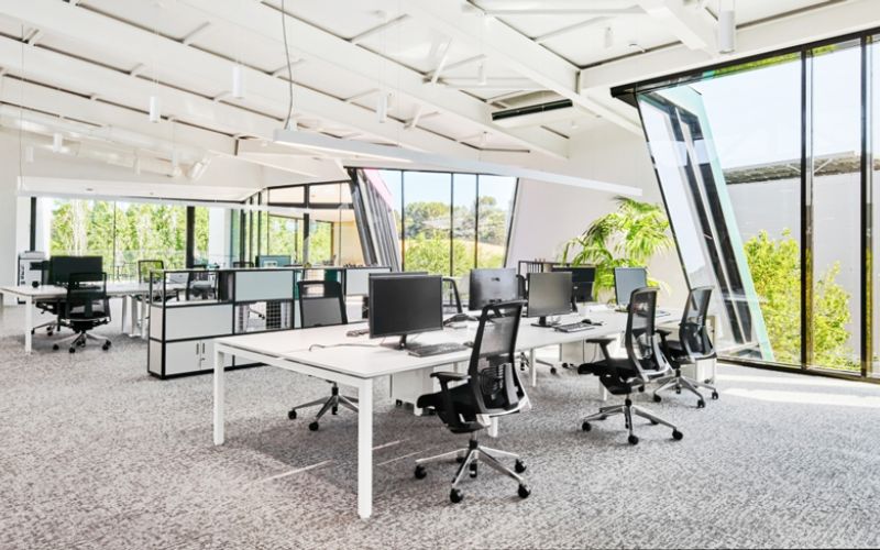 Mẫu setup văn phòng không gian mở với cửa kính lớn tối ưu ánh sáng tự nhiên
