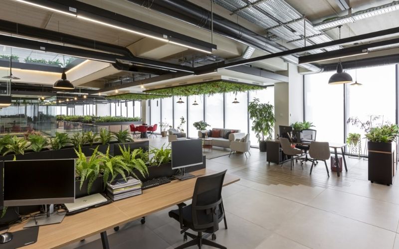 Không gian làm việc chuyên nghiệp đảm bảo sự cân bằng giữa tập trung và cộng tác