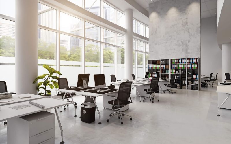 Mẫu decor văn phòng hợp phong thủy với bố trí bàn làm việc khoa học, cây xanh và ánh sáng hài hòa tạo không gian tích cực