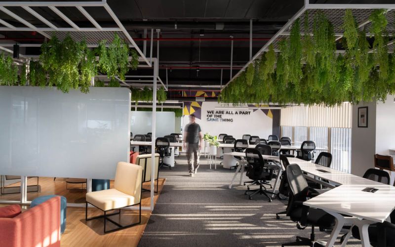 Mẫu Flex Office hiện đại với chỗ ngồi linh hoạt và không gian làm việc đa chức năng