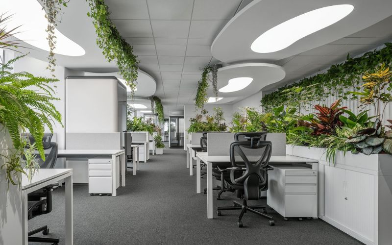 Mẫu văn phòng hiện đại theo phong cách xanh phù hợp doanh nghiệp hướng đến phát triển bền vững