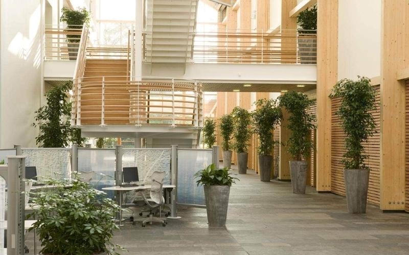 Thiết kế không gian xanh đơn giản kết hợp cùng chất liệu gỗ tái chế