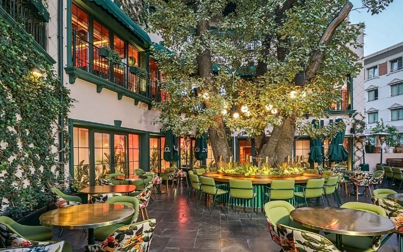 Không gian quán cafe sân vườn đẹp mắt