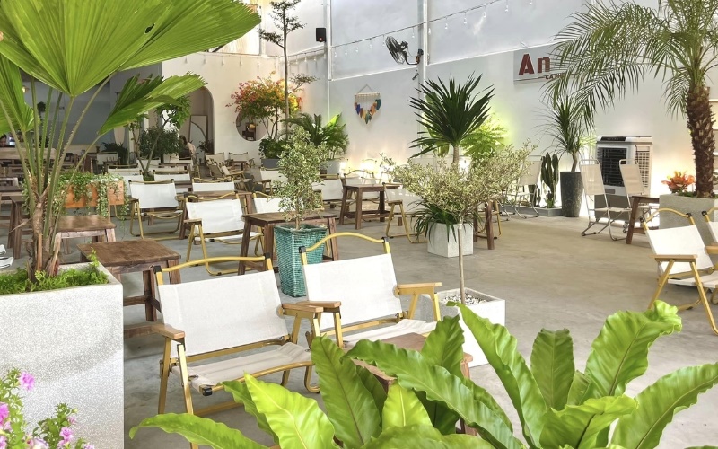 Quán cà phê phong cách Tropical rất phù hợp với khí hậu Việt Nam