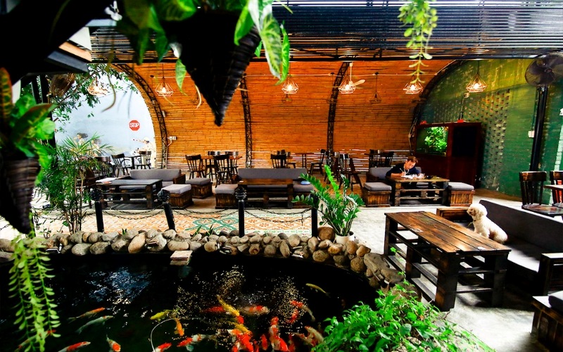Hồ cá Koi đẹp là bí quyết giúp thu hút khách hàng cho quán cafe