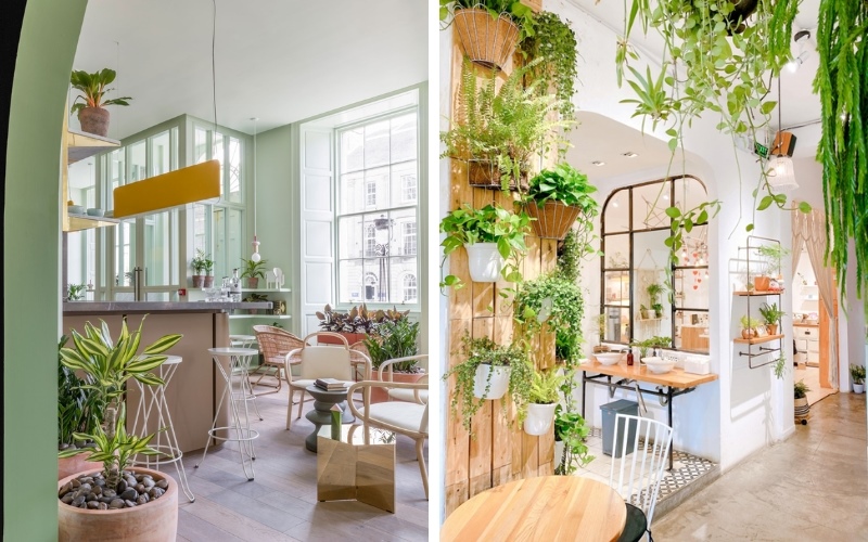 Vẻ đẹp nhẹ nhàng nên thơ của quán cafe bình dân