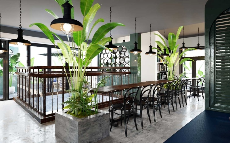 Cây xanh tạo nên sự tươi mát cho không gian quán cafe