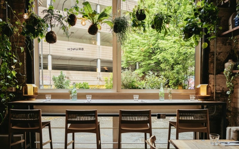 Thiết kế quán cafe phong cách cổ điển gần gũi với thiên nhiên