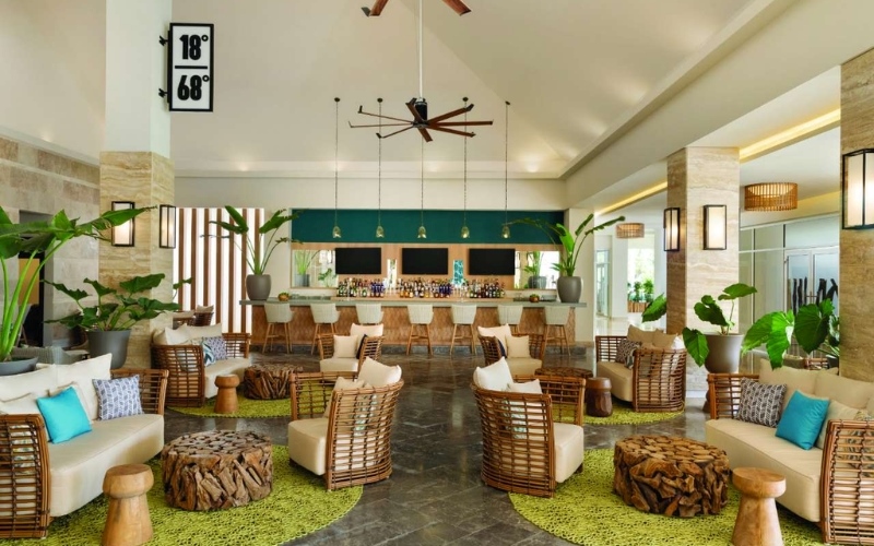 Không gian quán cafe phong cách cổ điển kết hợp Tropical mát mẻ