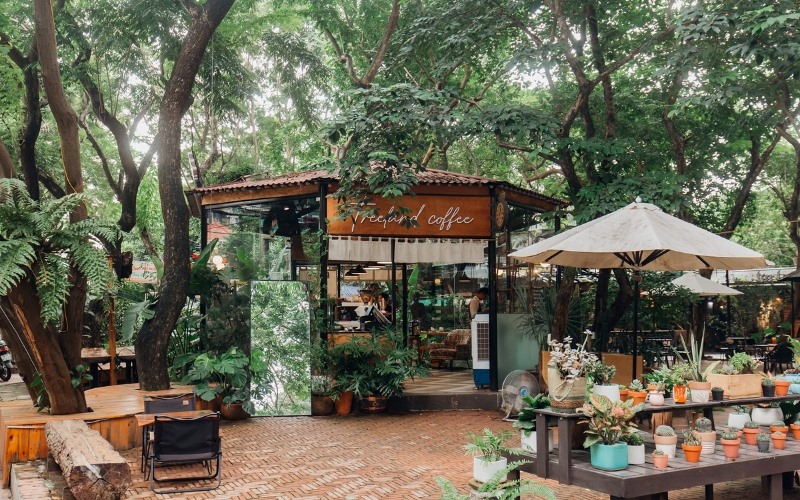 Trang trí cổng quán cafe sân vườn với cây xanh