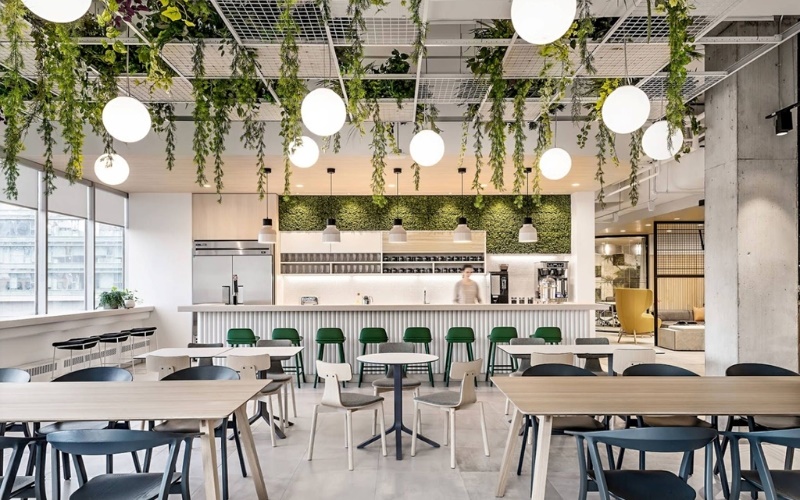Cây xanh tạo không gian mát mẻ cho quán cafe