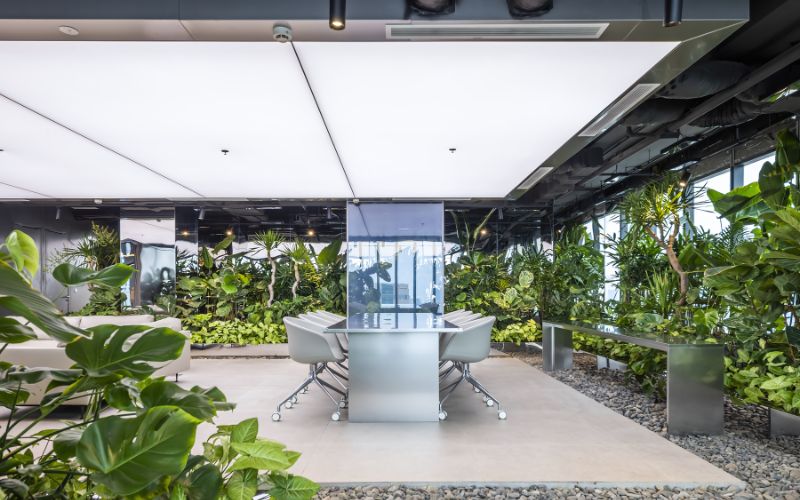 Mẫu thiết kế văn phòng 150m2 không gian xanh