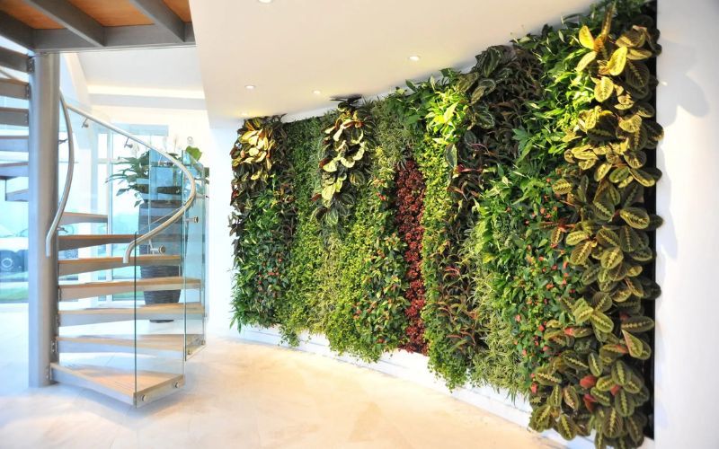 Mảng thực vật ốp tường là xu hướng trang trí mới của các doanh nghiệp