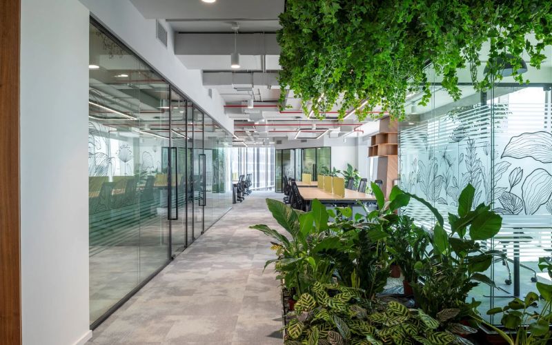 Thiết kế văn phòng 300m2 phân chia không gian bằng vách kính