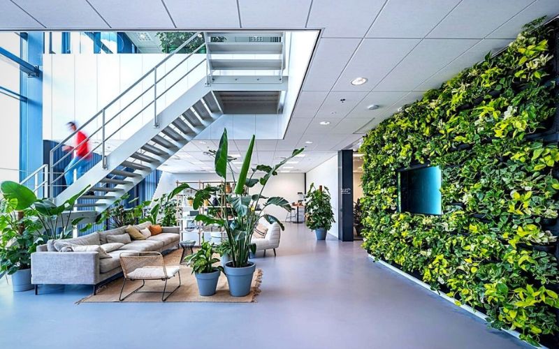 Không gian văn phòng 300m2 vô cùng phù hợp với thiết kế Eco