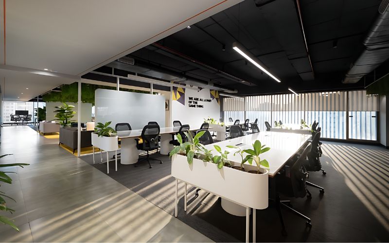 Thiết kế văn phòng 600m2 với không gian rộng thoáng