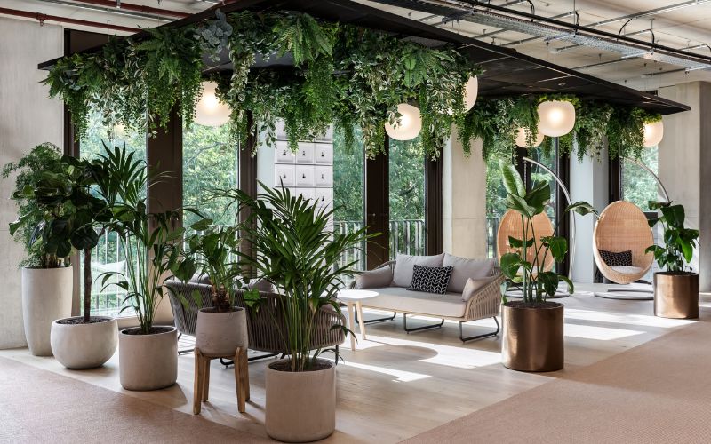 Thiết kế văn phòng 90m2 với không gian xanh