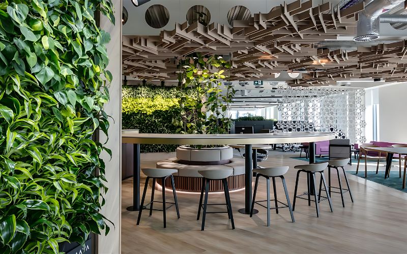 Thiết kế văn phòng 90m2 với mảng tường tận dụng diện tích cho cây xanh