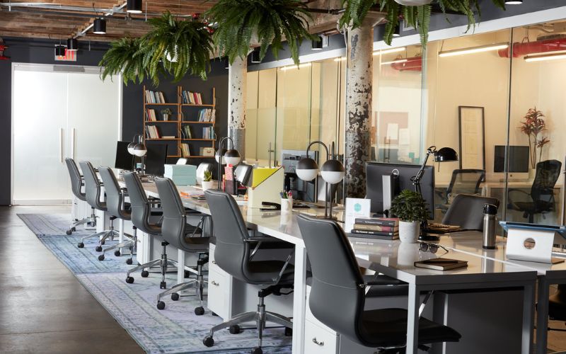 Thiết kế văn phòng theo tiêu chuẩn leed giúp tối ưu chi phí doanh nghiệp