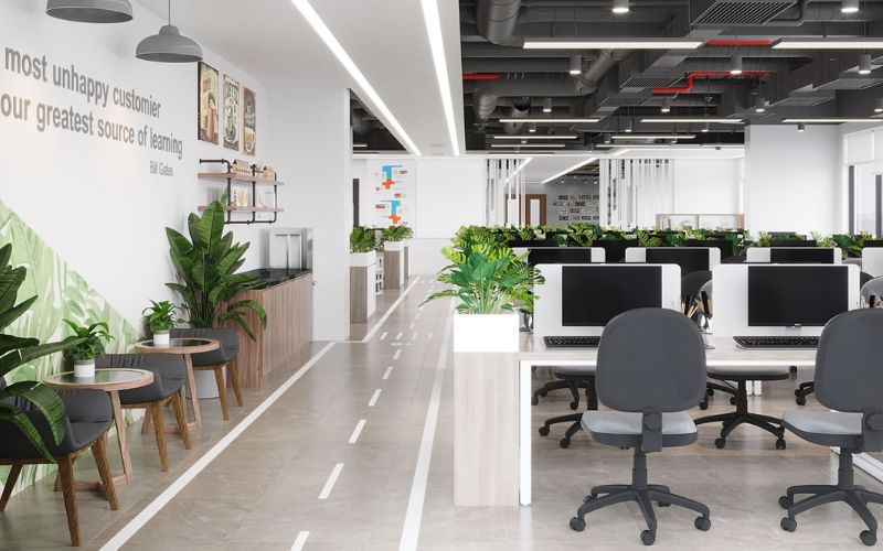 Lựa chọn loại cây hợp phong thủy để bố trí cho văn phòng