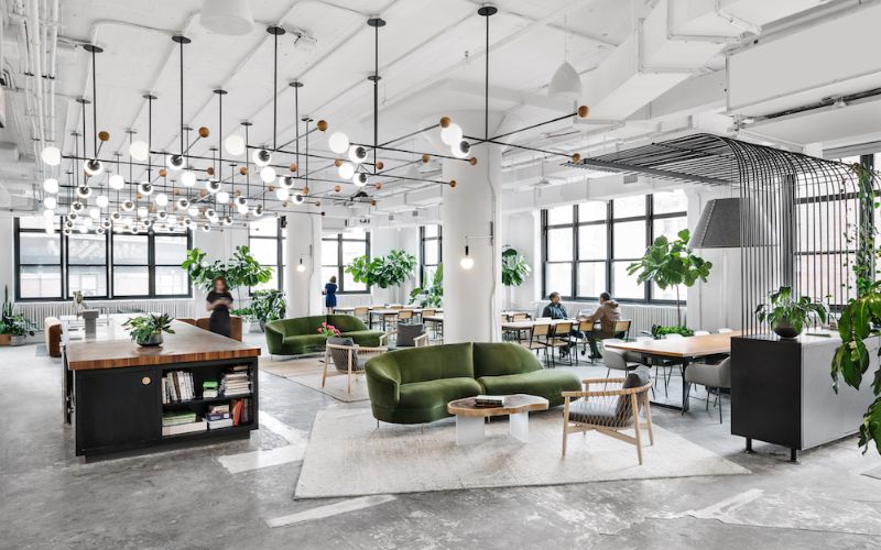 Mẫu văn phòng cho thuê co-working với không gian làm việc chung hiện đại và linh hoạt