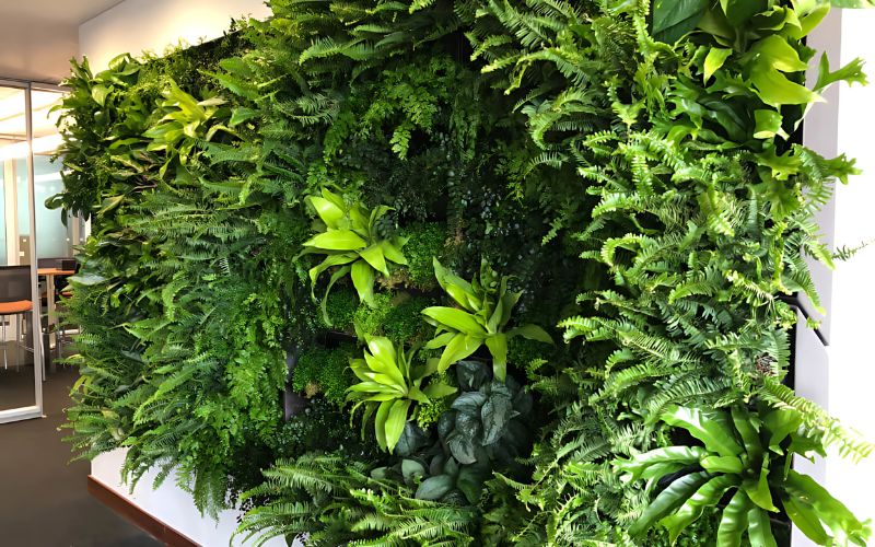 Hệ thống thực vật đa dạng khiến bức tường trở nên sinh động