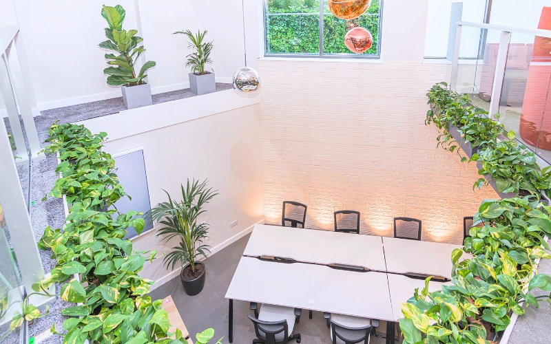 Quán cafe tối giản với mảng xanh là điểm nhấn