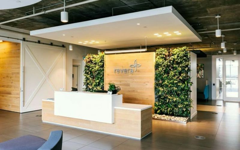 Quầy lễ tân phong cách Biophilic với backdrop tường cây xanh nổi bật, tạo điểm nhấn sinh động cho văn phòng