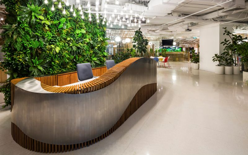 Mẫu quầy lễ tân Biophilic tích hợp mảng xanh tự nhiên, mang lại cảm giác thư thái và gần gũi ngay từ khu vực tiếp đón