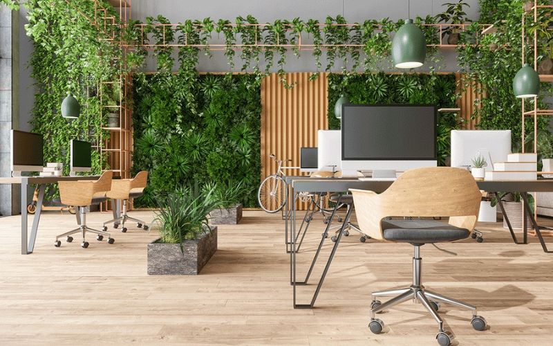 Thiết kế văn phòng Biophilic với cây xanh và ánh sáng tự nhiên